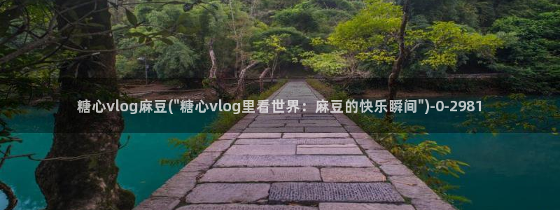 糖心volgapp：糖心vlog麻豆(\
