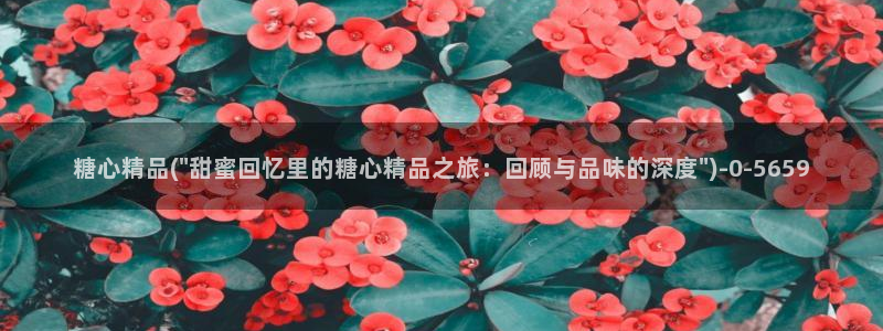 心糖vlogo：糖心精品(\