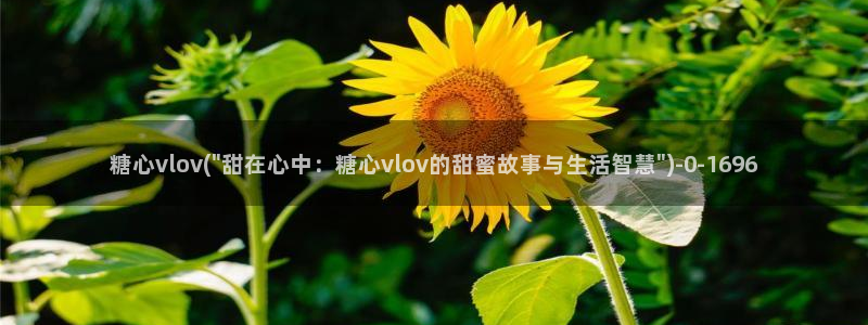 糖心都有谁：糖心vlov(\